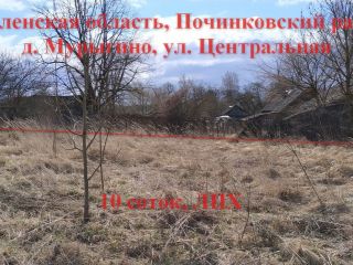 Продается участок земли под личное подсобное хозяйство рядом асфальт фото 4 Мурыгино