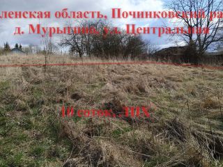 Продается участок земли под личное подсобное хозяйство рядом асфальт фото 5 Мурыгино