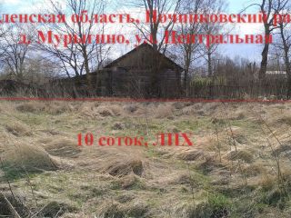 Продается участок земли под личное подсобное хозяйство рядом асфальт фото 6 Мурыгино