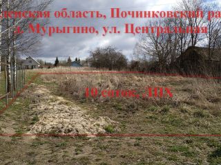 Продается участок земли под личное подсобное хозяйство рядом асфальт фото 9 Мурыгино