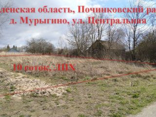 Продается участок земли под личное подсобное хозяйство рядом асфальт фото 10 Мурыгино