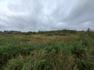 Продается участок земли в центре города под индивидуальное жилищное строительство фото 7 Рыбинск