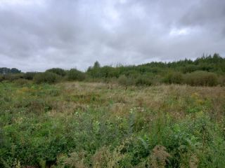 Продается участок земли в центре города под индивидуальное жилищное строительство фото 8 Рыбинск