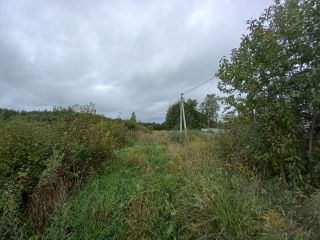 Продается участок земли в центре города под индивидуальное жилищное строительство фото 9 Рыбинск