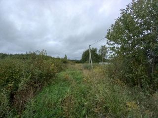 Продается участок земли в центре города под индивидуальное жилищное строительство фото 10 Рыбинск