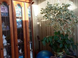 Продам 3 комнатную квартиру фото 3 Рыбинск