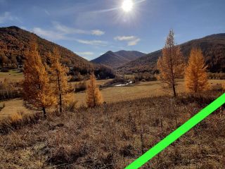 Продам земельный участок рядом река рядом асфальт фото 3 Ильинка