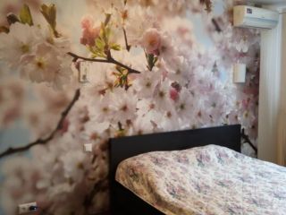 Сдам двухкомнатную квартиру с индивидуальным отоплением косметический ремонт с мебелью кирпичный фото 3 Хутор Трудобеликовский