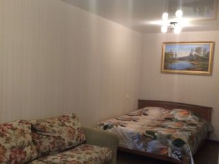 Сдается 1 комн. квартира на длительный срок с мебелью фото Павловск