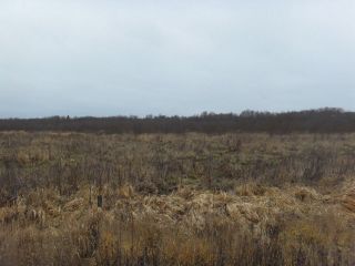 Земельный участок 12,8 Га в дер. Капшино Калязинского района Тверской области фото 2 Капшино