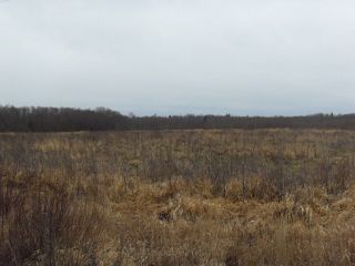 Земельный участок 12,8 Га в дер. Капшино Калязинского района Тверской области фото 3 Капшино