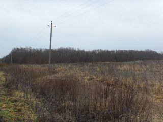 Земельный участок 12,8 Га в дер. Капшино Калязинского района Тверской области фото 4 Капшино