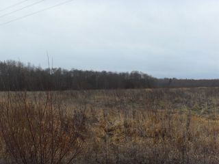 Земельный участок 12,8 Га в дер. Капшино Калязинского района Тверской области фото 5 Капшино