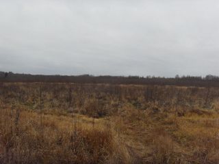 Земельный участок 12,8 Га в дер. Капшино Калязинского района Тверской области фото 6 Капшино