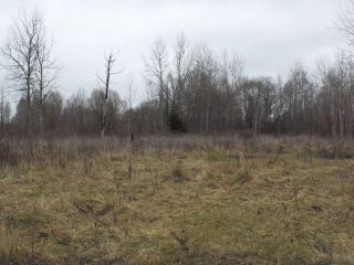 Участок 2,55 Га в районе дер. Волнога Калязинского района Тверской области фото 4 Калязин