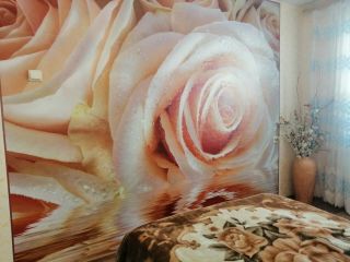 Сдам 2 комнатную квартиру фото 5 Ртищево