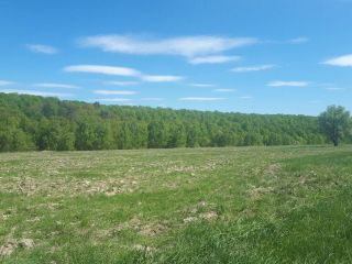 Продам земельный участок фото 3 Озёры