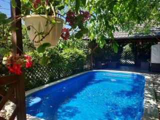 Продаю кирпичный дом с плодоносящим садом фото 4 Новороссийск город, Мысхако село