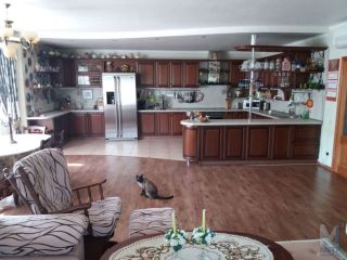 Продаю кирпичный дом с плодоносящим садом фото 10 Новороссийск город, Мысхако село