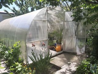 Продаю кирпичный дом с плодоносящим садом фото 22 Новороссийск город, Мысхако село