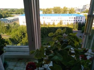 Продается 1 комнатная квартира фото 3 Рыбинск