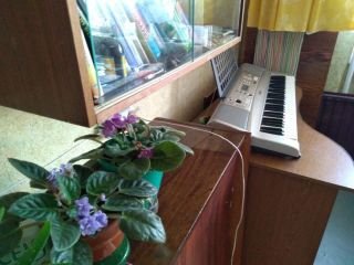 Продается 1 комнатная квартира фото 4 Рыбинск