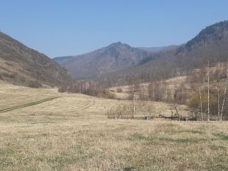 Продам земельный участок рядом река рядом асфальт фото 9 Ильинка