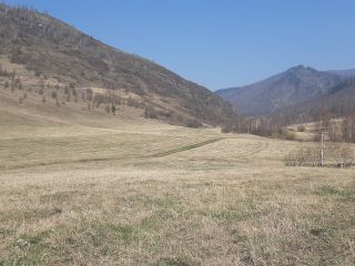 Продам земельный участок рядом река рядом асфальт фото 10 Ильинка