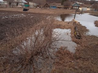 Продаю зем участок фото 5 Деревня Ельниково