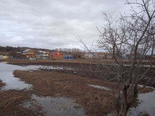 Продаю зем участок фото 8 Деревня Ельниково