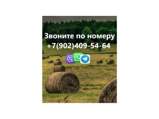 Сдаю двухкомнатную квартиру с индивидуальным отоплением косметический ремонт с мебелью фото 11 Мариинск