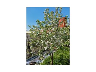 Сдаю кирпичный дом косметический ремонт есть баня с мебелью фото 15 Ишимбай