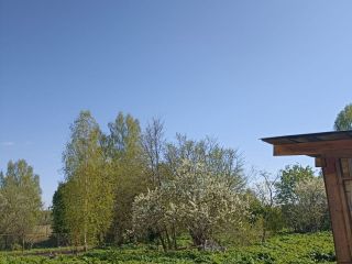 Продаю деревянный дом рядом лес сухой погреб фото 4 Руза