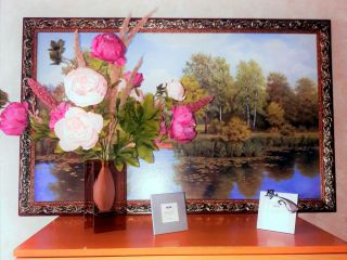 Уютная квартира возле ж/д вокзала на часы, сутки, недели в Кутузово фото 6 Подольск