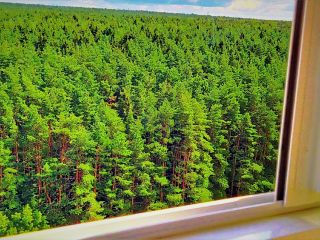 Люкс у озера рядом с лесом в Кутузово фото 4 Подольск