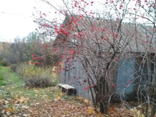 Продается деревянный дом косметический ремонт фото 4 Садоводческое товарищество "Пущино-1"