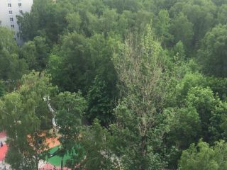 Продается двухкомнатная квартира взрослый собственник видеонаблюдение фото 8 Москва