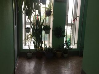 Продается двухкомнатная квартира взрослый собственник видеонаблюдение фото 10 Москва