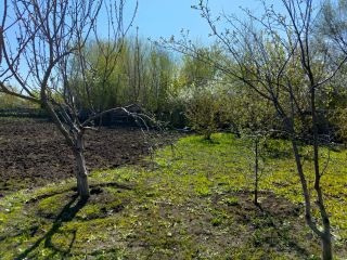 Дом в с. Кротовка Кинель-Черкасского р-на Самарской области фото 3 Село Кротовка