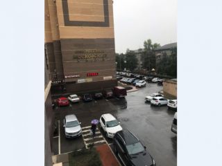 Продаю 1 комнатную квартиру чистый подъезд фото 13 Воронеж