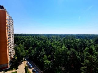 Продаю 1 комнатную квартиру фото 6 Балашиха