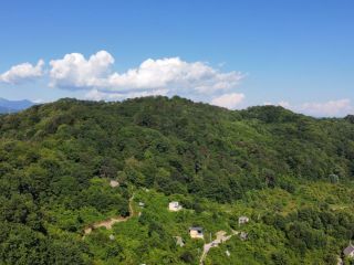 Продаю земельный участок фото Сочи