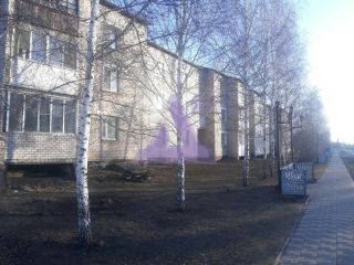 Продам 4 комнатную квартиру с погребом установлены пластиковые окна фото 13 Ребриха