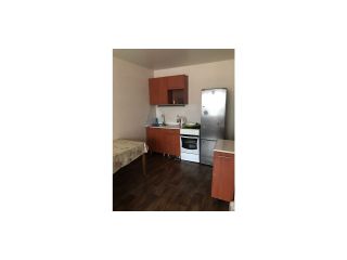 Сдается 2 комн. квартира с мебелью фото 3 Сертолово