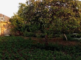 Продается кирпичный дом фото Керчь