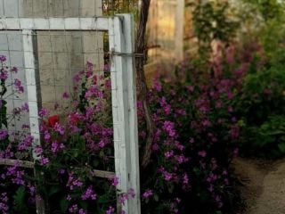 Продается кирпичный дом фото 8 Керчь