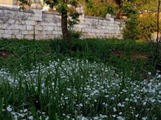 Продается кирпичный дом фото 9 Керчь