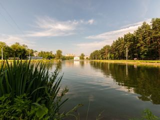 Люкс у озера рядом с лесом в Кутузово фото 21 Подольск