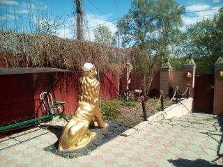 Продам 2-х эт. коттедж (Р-он Ресторана "Бочка") фото 4 Пенза