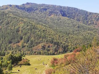 Продам земельный участок рядом река рядом асфальт фото 11 Ильинка